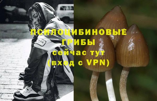мескалин Лабытнанги
